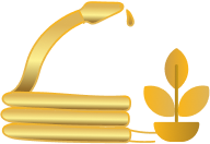 bomba solar para pozo Mallorca Tot-sol | riego solar icono oro