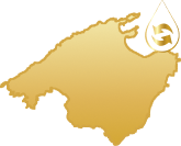 eficiencia energética edificios Mallorca Tot-sol | isla de Mallorca icono oro